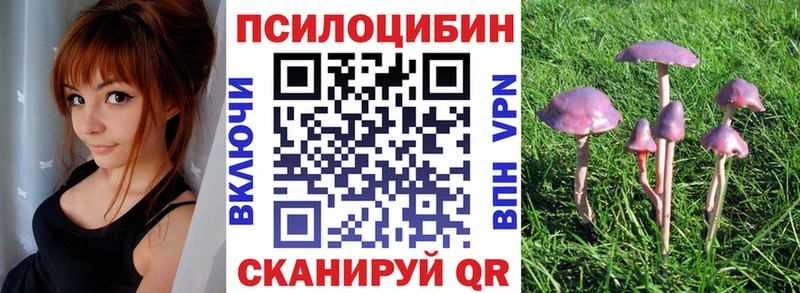 Псилоцибиновые грибы MAGIC MUSHROOMS  купить наркоту  Вилючинск 